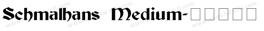 Schmalhans Medium字体转换